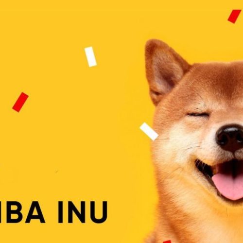 New The Shiba Inu is Now Available on E-Station Platforms and in the E-Wallet Generator!