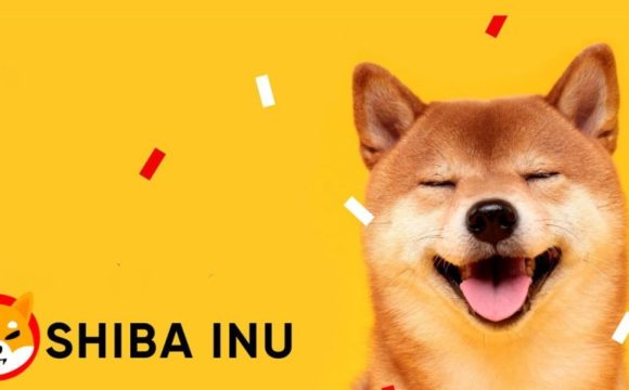 Nuevo ¡El Shiba Inu ya está disponible en las plataformas E-Station y en el E-Wallet Generator!