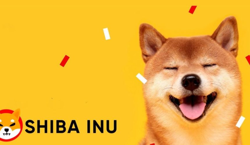 New The Shiba Inu is Now Available on E-Station Platforms and in the E-Wallet Generator!